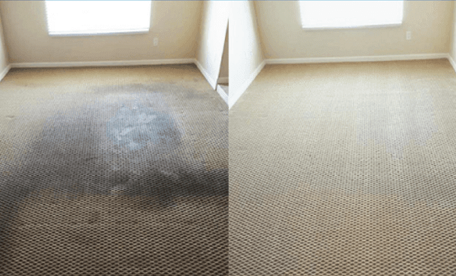 Carolina Carpet Medic Tile Carpet Cleaning Apex Knightdale Mebane Nc